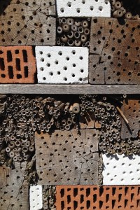 The Bee Hotel offers various room sizes. Photo: RM